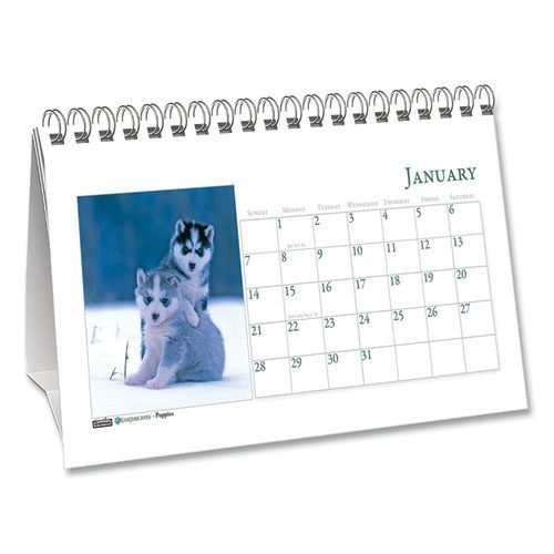 Earthscapes Recycled Desk Tent Monthly Calendar, Puppies Photography, 8.5 x 4.5, White Sheets, 12-Month (Jan to Dec): 2024 - Image 2