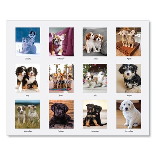 Earthscapes Recycled Desk Tent Monthly Calendar, Puppies Photography, 8.5 x 4.5, White Sheets, 12-Month (Jan to Dec): 2024 - Image 3